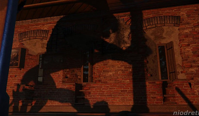 Hardcore love of Ciri of Cintra and a horse dick caught on film