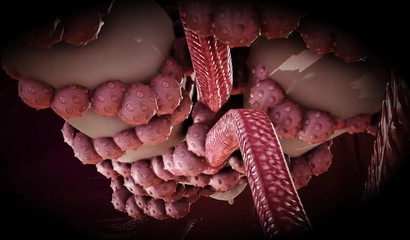 Sweet 3D tentacles can't leave this anime hottie alone