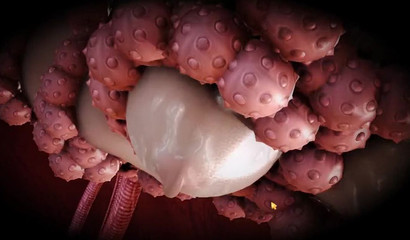 Sweet 3D tentacles can't leave this anime hottie alone