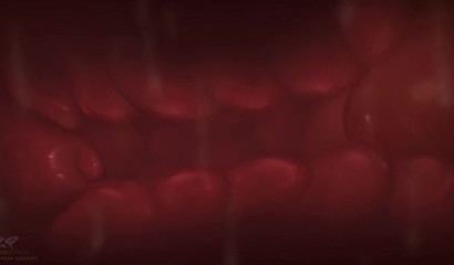 Charizard needs a 3D Pokemon Braixen to empty his tank in