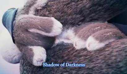 Cartoon XXX compilation of sex with bunny Judy Hops from Zootopia