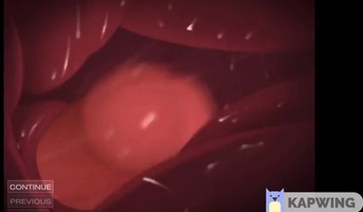 Hot XXX cartoon compilation with cartoon characters Zveropolis", "Pokemon" and others"