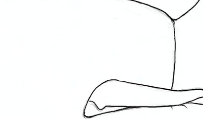 Animal sex of the characters of the porn cartoons Zveropolis", "Pokemon" and "The World of Monster Hunters"