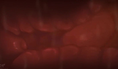 Animal sex of the characters of the porn cartoons Zveropolis", "Pokemon" and "The World of Monster Hunters"