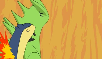 A couple of wild Pokemon had sex in a cave