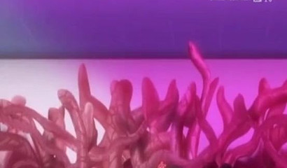 Bondage slave and her love for meaty tentacles