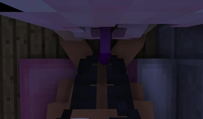 Minecraft 3D hotties want to have orgasmic fun all night