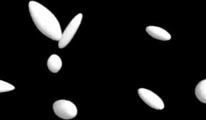 Please cum on my face Senpai - Anime Hentai Porn