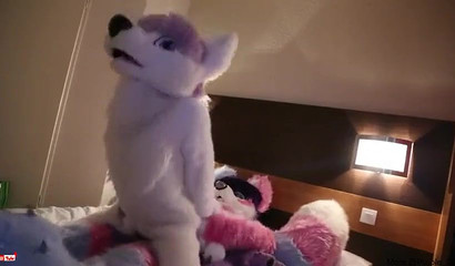 Furry turns out to be a massive ass hoe