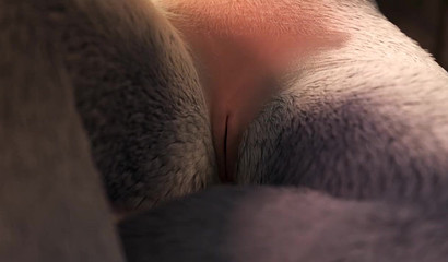 Only huge dragon dick can make furry cunts cum in these woods