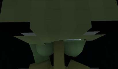 POV Minecraft donde no existe el bloqueo de pollas