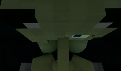 POV Minecraft donde no existe el bloqueo de pollas