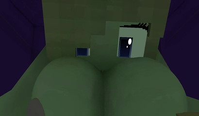 POV Minecraft donde no existe el bloqueo de pollas