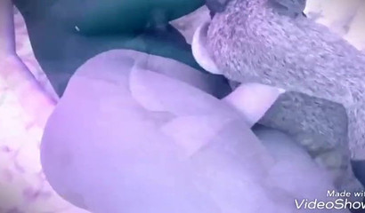 Judy Hopps sobe e desce uma pila