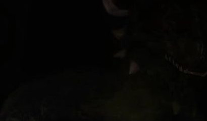 Beefy guy fucking a reptilian creature in a beautiful forest