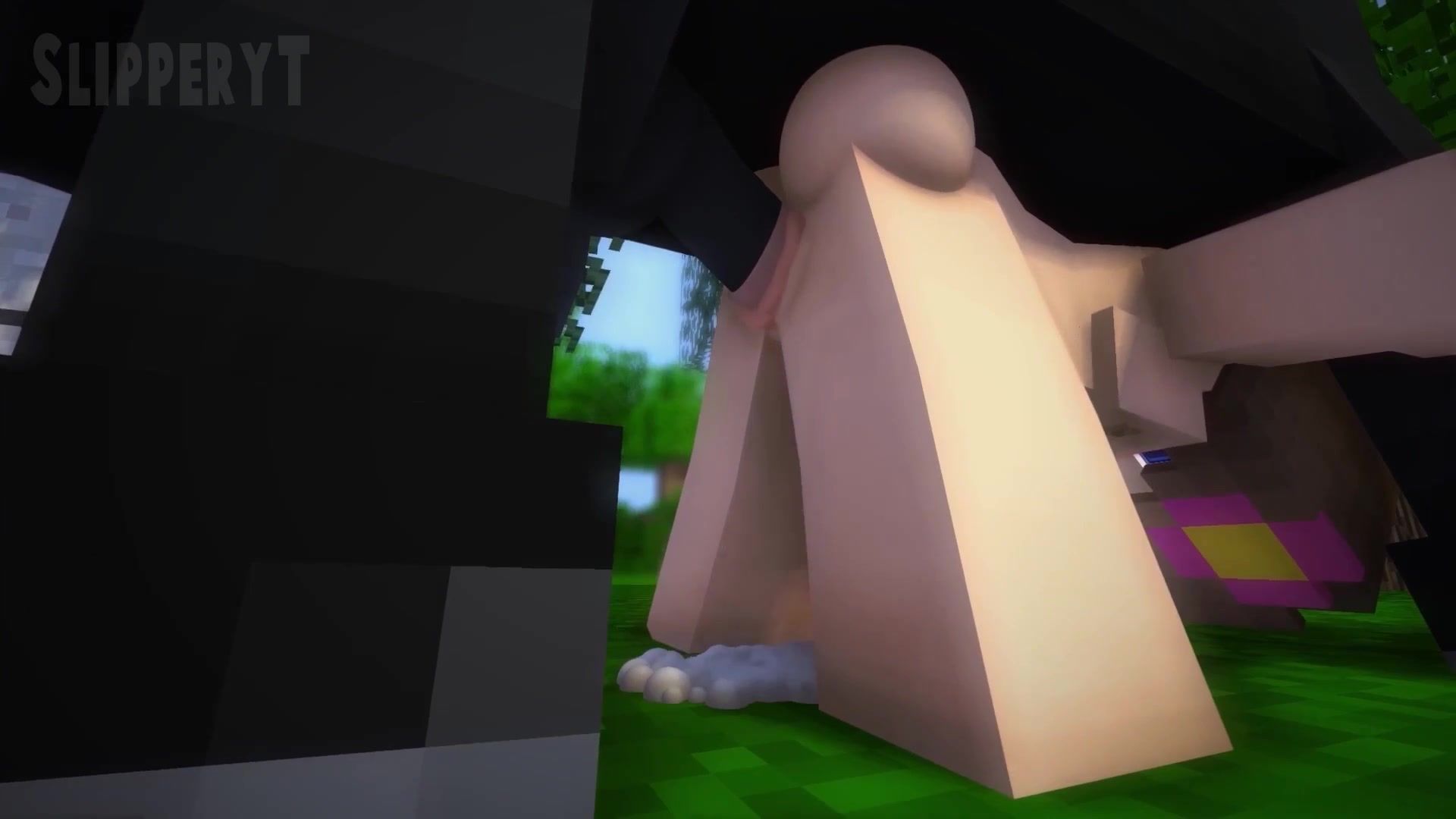 Jenny's odd adventure